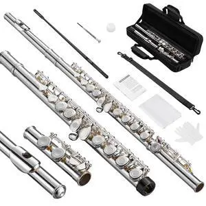 Open Hole C Flute, 16 Keys Student Flute Instrument for Beginner Advanced Player, with Carry Bag, Strap, Gloves, Adjustment Screwdriver, Cleaning Kit (Open/Closed Hole, Silver Plated) Open Hole C Flute, 16 Keys Student Flute Instrument for Beginner Advanced Player, with Carry Bag, Strap, Gloves, Adjustment Screwdriver, Cleaning Kit (Open/Closed Hole, Silver Plated)