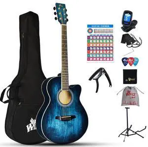 Acoustic Steel-string Guitar Beginner for Adults Students, Elegant Unique Color Design (vintage blue) Acoustic Steel-string Guitar Beginner for Adults Students, Elegant Unique Color Design (vintage blue)