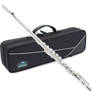 Open Hole Flutes C 16 Keys Silver Plated Flute Instrument for Beginner Kids Student with Carrying Case,Stand,Cleaning kit,Gloves,Tuning Rod(Open/Closed Hole,Silver Plated) Open Hole Flutes C 16 Keys Silver Plated Flute Instrument for Beginner Kids Student with Carrying Case,Stand,Cleaning kit,Gloves,Tuning Rod(Open/Closed Hole,Silver Plated)