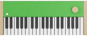 Digital Piano - Portable Keyboard for Beginners with Musician Grade Sound, MIDI Over USB-C Rechargeable Musical Educational Instrument (x Duolingo piano) Digital Piano - Portable Keyboard for Beginners with Musician Grade Sound, MIDI Over USB-C Rechargeable Musical Educational Instrument (x Duolingo piano)