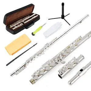 Silver Plated Flute Instrument for Beginner Kids StudentClosed Hole Flutes 16 Keys C Flute with Carrying Case,StandCleaning kitGlovesTuning Rod(Silver Plated) Silver Plated Flute Instrument for Beginner Kids StudentClosed Hole Flutes 16 Keys C Flute with Carrying Case,StandCleaning kitGlovesTuning Rod(Silver Plated)
