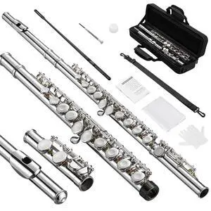 Closed Hole C 16 Keys Flute for Student Beginner, Flute Instrument with Cleaning Kit, Carry Bag, Strap, Probe Rod, Gloves (Nickel) Closed Hole C 16 Keys Flute for Student Beginner, Flute Instrument with Cleaning Kit, Carry Bag, Strap, Probe Rod, Gloves (Nickel)