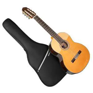 7 String Acoustic Classical Nylon Guitar with Gig Bag | Red cedar top, rosewood fingerboard,Additional low B string for classical, jazz, flamenco, fingerstyle playing, adults 7 String Acoustic Classical Nylon Guitar with Gig Bag | Red cedar top, rosewood fingerboard,Additional low B string for classical, jazz, flamenco, fingerstyle playing, adults