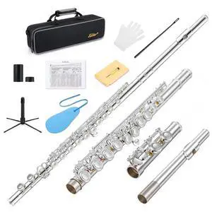 Upgraded Closed Hole 16 Keys C Flute for Beginner Student, Instrument with Cleaning Kit, Stand, Case, Gloves, Tuning Rod, Fingering Chart, Silver Plated, EFL-1S Upgraded Closed Hole 16 Keys C Flute for Beginner Student, Instrument with Cleaning Kit, Stand, Case, Gloves, Tuning Rod, Fingering Chart, Silver Plated, EFL-1S