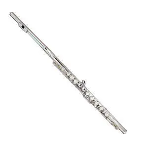 C Flutes Closed Hole 16 Keys Flute Silver Plated, DFL-201, for Beginner Student Flute Instrument with Cleaning Kit, Carrying Case, Gloves, Tuning Rod C Flutes Closed Hole 16 Keys Flute Silver Plated, DFL-201, for Beginner Student Flute Instrument with Cleaning Kit, Carrying Case, Gloves, Tuning Rod