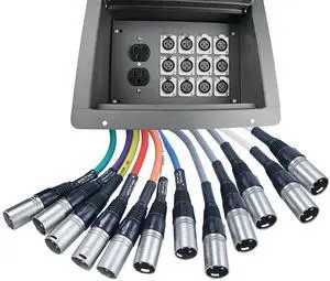Pro Audio Stage Recessed Floor Box with 110v Electric and XLR Connections (12 XLR, Pre Wired) Pro Audio Stage Recessed Floor Box with 110v Electric and XLR Connections (12 XLR, Pre Wired)