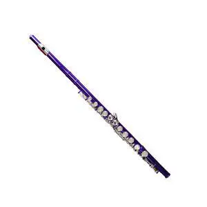 C Flute Closed Hole 16 Keys Nickel Plated, DFL-301, for Beginner Student Flute Instrument with Cleaning Kit, Carrying Case, Gloves, Tuning Rod (Purple Dream) C Flute Closed Hole 16 Keys Nickel Plated, DFL-301, for Beginner Student Flute Instrument with Cleaning Kit, Carrying Case, Gloves, Tuning Rod (Purple Dream)