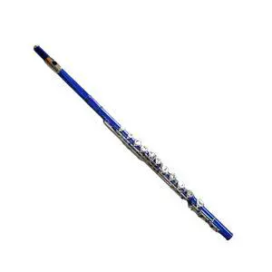 C Flute Closed Hole 16 Keys Nickel Plated, DFL-401, for Beginner Student Flute Instrument with Cleaning Kit, Carrying Case, Gloves, Tuning Rod (Sapphire) C Flute Closed Hole 16 Keys Nickel Plated, DFL-401, for Beginner Student Flute Instrument with Cleaning Kit, Carrying Case, Gloves, Tuning Rod (Sapphire)