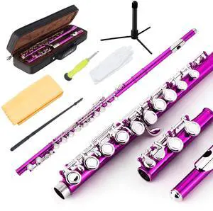 Closed Hole Flutes C 16 Key for Beginner, Kids, Student -Nickel Flute with Case Stand and Cleaning kit (Pink) Closed Hole Flutes C 16 Key for Beginner, Kids, Student -Nickel Flute with Case Stand and Cleaning kit (Pink)