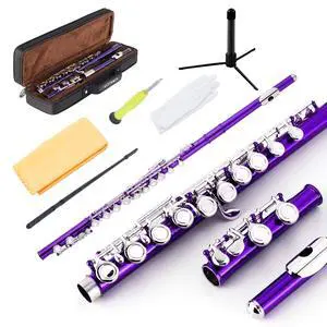 Closed Hole Flutes C 16 Key for Beginner, Kids, Student -Nickel Flute with Case Stand and Cleaning kit (Purple) Closed Hole Flutes C 16 Key for Beginner, Kids, Student -Nickel Flute with Case Stand and Cleaning kit (Purple)