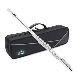 Closed Hole Flutes C 16 Key for Beginner, Kids, Student Silver Nickel Flute with Case Stand and Cleaning kit Closed Hole Flutes C 16 Key for Beginner, Kids, Student Silver Nickel Flute with Case Stand and Cleaning kit