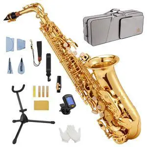 Eb Alto Saxophone Brass Student Beginner Alto Sax Kit with Hard Case Stand Neck Strap Mouthpiece and Reeds for School Band Home Practice, SAS-130G, Gold Eb Alto Saxophone Brass Student Beginner Alto Sax Kit with Hard Case Stand Neck Strap Mouthpiece and Reeds for School Band Home Practice, SAS-130G, Gold
