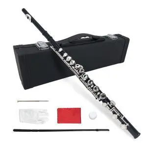 16 Key Closed Hole C Flute for Beginners, Students, Adults Silver Plated Nickel Flute with Carrying Case, Cleaning Kit, Tuning Rod, Gloves Lightweight, Durable & Easy to Play (Black) 16 Key Closed Hole C Flute for Beginners, Students, Adults Silver Plated Nickel Flute with Carrying Case, Cleaning Kit, Tuning Rod, Gloves Lightweight, Durable & Easy to Play (Black)