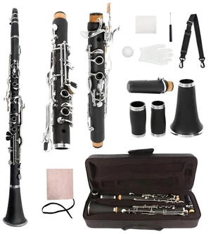 Professional Ebonite Clarinete G Key Clarinet for Beginner Students with 2 Barrels Hard Case Cleaning Kit Mouthpice Cork Grease Gloves Professional Ebonite Clarinete G Key Clarinet for Beginner Students with 2 Barrels Hard Case Cleaning Kit Mouthpice Cork Grease Gloves