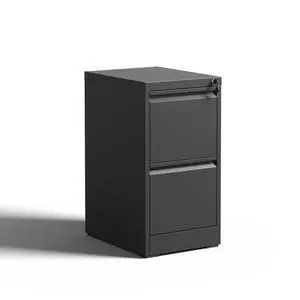 2 Drawer Metal Vertical File Cabinet with Lock Office Home Steel Vertical File Cabinet for A4 Legal/Letter Size 2 Drawer Metal Vertical File Cabinet with Lock Office Home Steel Vertical File Cabinet for A4 Legal/Letter Size