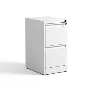 2 Drawer Metal Vertical File Cabinet with Lock Office Home Steel Vertical File Cabinet for A4 Legal/Letter Size 2 Drawer Metal Vertical File Cabinet with Lock Office Home Steel Vertical File Cabinet for A4 Legal/Letter Size