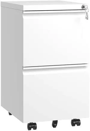 2 Drawer Metal Mobile File Cabinet, Rolling File Cabinet with Lock for Hanging Legal/Letter/A4 Size,Fully Assembled Except Wheels 2 Drawer Metal Mobile File Cabinet, Rolling File Cabinet with Lock for Hanging Legal/Letter/A4 Size,Fully Assembled Except Wheels