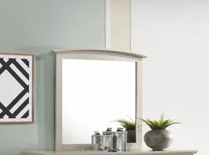 Elegant Silver Champagne Wall Mirror Elegant Silver Champagne Wall Mirror