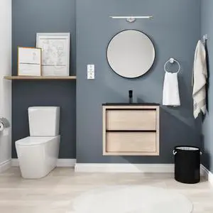 24" Bathroom Vanity, With Black Ceramic Sink And 2 Soft Close Drawers(BVA02524PLO-G-BL9060BK)W1286S00035 24" Bathroom Vanity, With Black Ceramic Sink And 2 Soft Close Drawers(BVA02524PLO-G-BL9060BK)W1286S00035