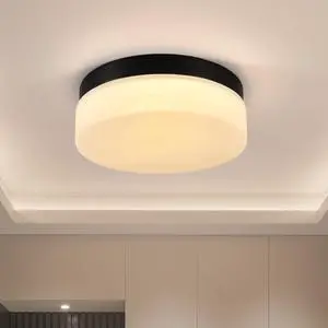 12 inch Led Ceiling Light, 24W Flush Mount Ceiling Light,Round Low Profile Ceiling Lights for Bedroom, Living Room, Dining Room(Black) 12 inch Led Ceiling Light, 24W Flush Mount Ceiling Light,Round Low Profile Ceiling Lights for Bedroom, Living Room, Dining Room(Black)