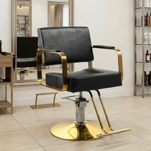 Salon Barber Chair for Hair Stylist with Hydraulic Pump and Thicken Cushion Beauty Styling Chair for Barbershop Swivel Salon Barber Chair for Hair Stylist with Hydraulic Pump and Thicken Cushion Beauty Styling Chair for Barbershop Swivel