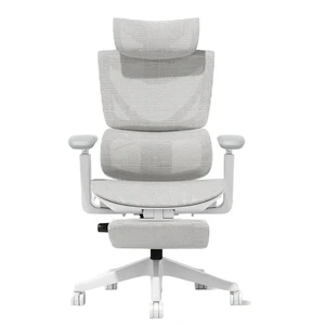 Ergonomic Mesh Chair with Button Precision Control, Adjustable Recline and Armrest Built in Footrest Class Gas Lift 300 Ergonomic Mesh Chair with Button Precision Control, Adjustable Recline and Armrest Built in Footrest Class Gas Lift 300