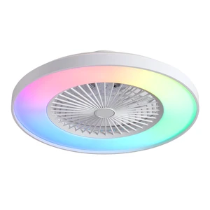 24 Inch RGB Bladeless Ceiling Fan, Low Profile Ceiling Fan with App Voice Remote Control Speed Quiet Motor Dimmable 24 Inch RGB Bladeless Ceiling Fan, Low Profile Ceiling Fan with App Voice Remote Control Speed Quiet Motor Dimmable
