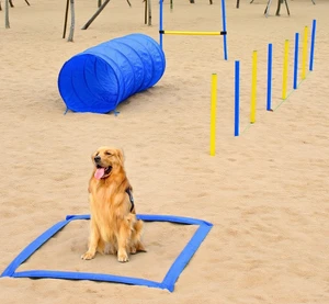 Competitive Dog Agility Training Kit Obstacle Course Equipment, Blue, Polyester, Pet Beds Furniture Competitive Dog Agility Training Kit Obstacle Course Equipment, Blue, Polyester, Pet Beds Furniture