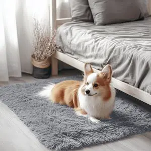 Machine Washable Small Bedside Rug, Soft Fluffy Shaggy Entryway Throw Rugs for Bedroom, Living Room, Indoor Floor Carpet for Kids Girls Boy, Nursery Rooms, Home Decor Aesthetic Machine Washable Small Bedside Rug, Soft Fluffy Shaggy Entryway Throw Rugs for Bedroom, Living Room, Indoor Floor Carpet for Kids Girls Boy, Nursery Rooms, Home Decor Aesthetic