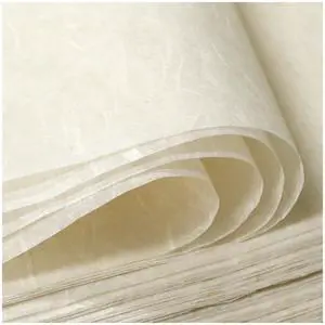 50/100 Sheets A4 Mulberry Paper Sheets Natural Fiber Rice Papers,8.3x11.7in Natural Decoupage Tissue Paper for Writing Painting, Decorative &Card Making Papers DIY Craft 50/100 Sheets A4 Mulberry Paper Sheets Natural Fiber Rice Papers,8.3x11.7in Natural Decoupage Tissue Paper for Writing Painting, Decorative &Card Making Papers DIY Craft
