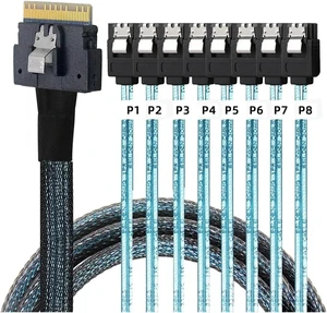PCI-E Slimline S/AS 4.0 SFF-8654 8i to 8X SATA Cable 4X M1ni S/AS 29Pin SFF-8482 Computer Server Array Disk Cord Hub 6Gbps Rate(0.5m,8X to 8-SATA) PCI-E Slimline S/AS 4.0 SFF-8654 8i to 8X SATA Cable 4X M1ni S/AS 29Pin SFF-8482 Computer Server Array Disk Cord Hub 6Gbps Rate(0.5m,8X to 8-SATA)