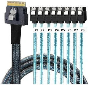 PCI-E Slimline S/AS 4.0 SFF-8654 8i to 8X SATA Cable 4X M1ni S/AS 29Pin SFF-8482 Computer Server Array Disk Cord Hub 6Gbps Rate(1m,8X to 8-SATA) PCI-E Slimline S/AS 4.0 SFF-8654 8i to 8X SATA Cable 4X M1ni S/AS 29Pin SFF-8482 Computer Server Array Disk Cord Hub 6Gbps Rate(1m,8X to 8-SATA)