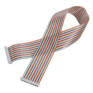 IDC Rainbow Wire Flat Ribbon Cable 2.54mm Pitch 40 Pin Connection Line FC Dual Female Gray Connector for DIY Experiment 2 Ft Length 1 Pcs IDC Rainbow Wire Flat Ribbon Cable 2.54mm Pitch 40 Pin Connection Line FC Dual Female Gray Connector for DIY Experiment 2 Ft Length 1 Pcs