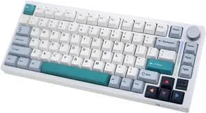 GK GAMAKAY TK75 V2 75% Silent Mechanical Keyboard with TFT Screen | Hot Swap RGB Bluetooth 5.0/2.4GHz Wireless/USB-C Wired PBT Cherry Profile Keycaps Gaming Keyboard (GamaKay Pegasus Switch) GK GAMAKAY TK75 V2 75% Silent Mechanical Keyboard with TFT Screen | Hot Swap RGB Bluetooth 5.0/2.4GHz Wireless/USB-C Wired PBT Cherry Profile Keycaps Gaming Keyboard (GamaKay Pegasus Switch)