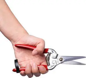 Gardeness Pruning Shear Straight Pruning Snip 2PCS Stainless Steel Florist Scissors, Multi-Tasking Precision Hand Pruner Herb Snips Flower Clippers Bonsai Trimmers Ergonomic Handle Garden shear Gardeness Pruning Shear Straight Pruning Snip 2PCS Stainless Steel Florist Scissors, Multi-Tasking Precision Hand Pruner Herb Snips Flower Clippers Bonsai Trimmers Ergonomic Handle Garden shear