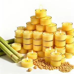 Tealight Citronella Candles Outdoor, 4Hours Soy Wax Tea Lights Candles for Patio, Garden, Yard, Terrace, Camping, Home, Indoor, Party, 30 Pack Acrylic Votive Candles for Weddings, Shabbat, Events Tealight Citronella Candles Outdoor, 4Hours Soy Wax Tea Lights Candles for Patio, Garden, Yard, Terrace, Camping, Home, Indoor, Party, 30 Pack Acrylic Votive Candles for Weddings, Shabbat, Events