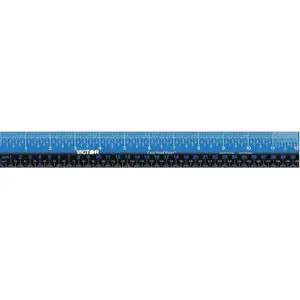 EZ12PBL Plastic Dual Color 12 Inch Easy Read Ruler with Inches, Centimeters and Millimeters Measurements, Blue/Black EZ12PBL Plastic Dual Color 12 Inch Easy Read Ruler with Inches, Centimeters and Millimeters Measurements, Blue/Black