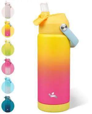 18 oz Insulated Stainless Steel Sports Water Bottle with Straw Lid 18 oz Insulated Stainless Steel Sports Water Bottle with Straw Lid