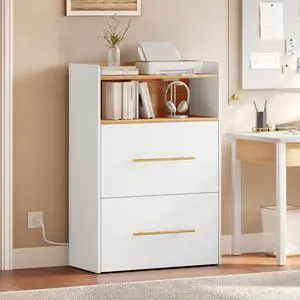 2 Drawer File Cabinet with Charging Station Printer Stand | with Open Storage Shelf Vertical File Cabinets for Home Office Bedroom,Living Room 2 Drawer File Cabinet with Charging Station Printer Stand | with Open Storage Shelf Vertical File Cabinets for Home Office Bedroom,Living Room