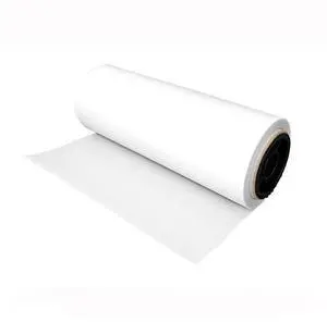 DTF Transfer Film L1800, A3 DTF Film Roll for Sublimation and DTF Inkjet Printers, Heat Transfer Paper for Dark and Light Fabric (A3 Roll Films 13 Inch x 328 FT) DTF Transfer Film L1800, A3 DTF Film Roll for Sublimation and DTF Inkjet Printers, Heat Transfer Paper for Dark and Light Fabric (A3 Roll Films 13 Inch x 328 FT)