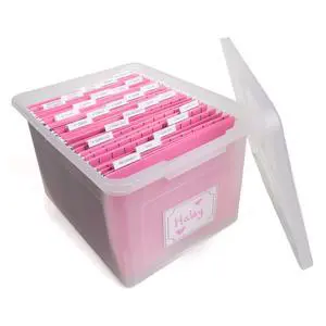 Kid's Craft Memory Keepsake Organizer Box - Clear Storage Latching Bin with Hanging File Folders and Custom Tab Inserts (Pink) Kid's Craft Memory Keepsake Organizer Box - Clear Storage Latching Bin with Hanging File Folders and Custom Tab Inserts (Pink)