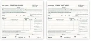Bill of Lading, Snap-A-Way Design, Carbonless Triplicate Forms, 8.5" x 7", 250 Freight Forms (44301) (Pack of 2) Bill of Lading, Snap-A-Way Design, Carbonless Triplicate Forms, 8.5" x 7", 250 Freight Forms (44301) (Pack of 2)