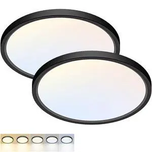2Pack 12Inch LED Flush Mount Ceiling Light 5 Color Temperatures | 3000K/3500K/4000K/5000K/6500K 24W Black LED Ceiling Light Fixture for Bathroom Closet Kitchen Bedroom Hallway Porch Pantry 2Pack 12Inch LED Flush Mount Ceiling Light 5 Color Temperatures | 3000K/3500K/4000K/5000K/6500K 24W Black LED Ceiling Light Fixture for Bathroom Closet Kitchen Bedroom Hallway Porch Pantry