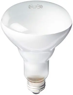 408662 Soft White 65-watt Br30 Indoor Flood Light Bulb, 4 Count (Pack of 1) 408662 Soft White 65-watt Br30 Indoor Flood Light Bulb, 4 Count (Pack of 1)