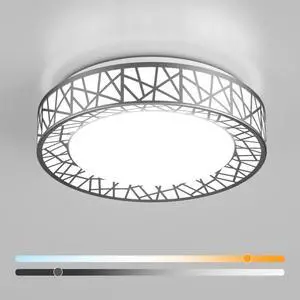 12 Inch Bird's Nest Flush Mount Ceiling Light, 20W, 5CCT | 2700K-6500K Selectable, Modern LED Ceiling Light Fixture, Dimmable, for Bedroom, Kitchen, Closet, Brushed Nickel, ETL Listed 12 Inch Bird's Nest Flush Mount Ceiling Light, 20W, 5CCT | 2700K-6500K Selectable, Modern LED Ceiling Light Fixture, Dimmable, for Bedroom, Kitchen, Closet, Brushed Nickel, ETL Listed