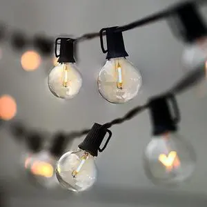 String Lights, LED 25 Light Bulbs 25Ft G40 Globe String Lights with Bulbs for Indoor/Outdoor Commercial Decor String Lights, LED 25 Light Bulbs 25Ft G40 Globe String Lights with Bulbs for Indoor/Outdoor Commercial Decor