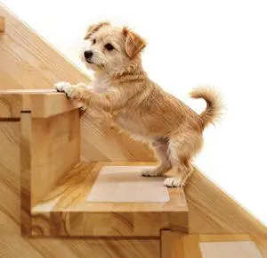 Stair Treads Non Slip 6" x 30", 15-Pack Pre-Cut Clear Anti Slip Strips for Wooden Steps Indoor, Transparent and Waterproof Grip Tape, Safety for Elderly and Dogs Stair Treads Non Slip 6" x 30", 15-Pack Pre-Cut Clear Anti Slip Strips for Wooden Steps Indoor, Transparent and Waterproof Grip Tape, Safety for Elderly and Dogs
