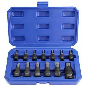 Torx Bit Socket Set, Premium S2 Bits & CR-V Sockets,13-Piece T8-T60 Torx Bit Socket Set, Premium S2 Bits & CR-V Sockets,13-Piece T8-T60