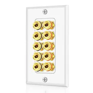 TNP Speaker Wall Plate for 1 Speaker, Banana Plug, Single Gang, White | Speaker Wire Wall Outlet with Gold-Plated Binding Posts for Spades or Bare Wire; for Home Theater and Surround Sound Setups TNP Speaker Wall Plate for 1 Speaker, Banana Plug, Single Gang, White | Speaker Wire Wall Outlet with Gold-Plated Binding Posts for Spades or Bare Wire; for Home Theater and Surround Sound Setups