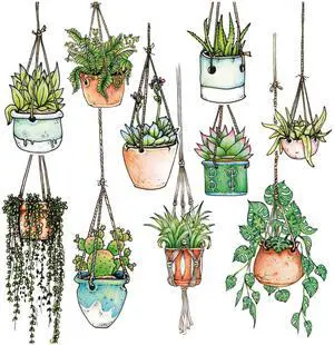 10 x Hanging Plant Laptop Stickers for Women | Cute Laptop Decals | Original Design Plant Stickers for Laptop | Easy Peel and Stick | Removable | Also Perfect for Water Bottles | Journals 10 x Hanging Plant Laptop Stickers for Women | Cute Laptop Decals | Original Design Plant Stickers for Laptop | Easy Peel and Stick | Removable | Also Perfect for Water Bottles | Journals